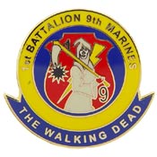 1ST BN 9TH MARINES PIN  