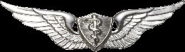 Army Badge: Flight Surgeon - Silver Oxide
