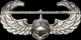 Army Badge: Air Assault - Silver Oxide