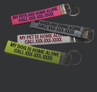 Emergency Pet Keychain